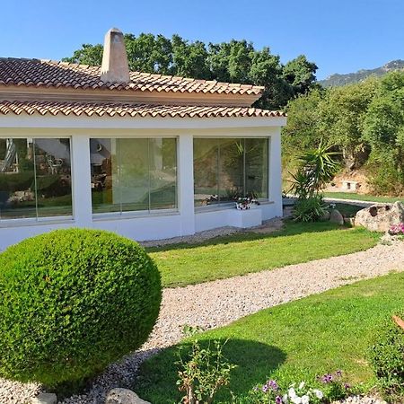 B&B La Chintina Sant’Antonio di Gallura Exterior foto
