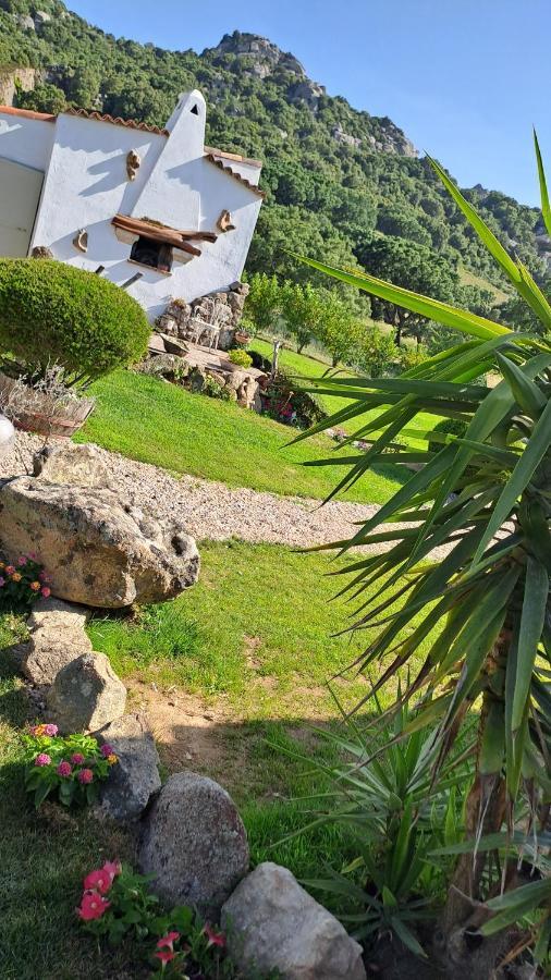 B&B La Chintina Sant’Antonio di Gallura Exterior foto
