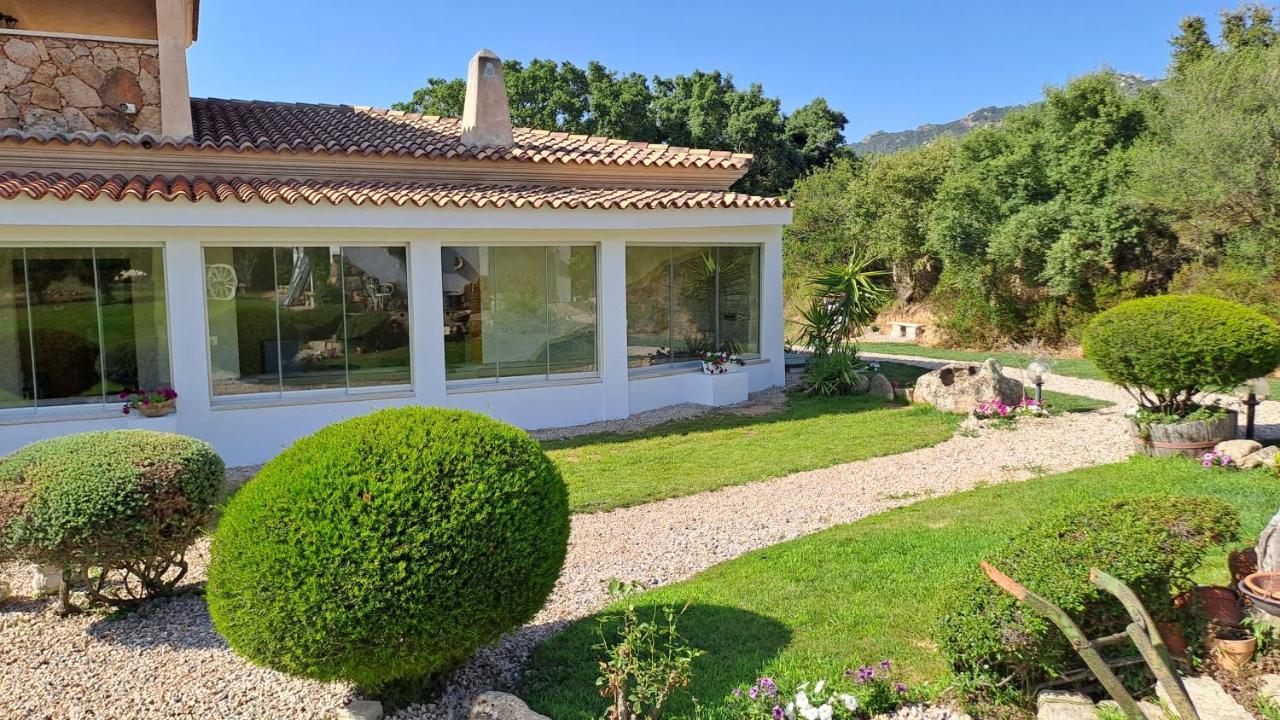 B&B La Chintina Sant’Antonio di Gallura Exterior foto